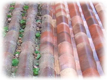 Nettoyage de toiture démoussage à Coltainville 28300 Eure et Loir