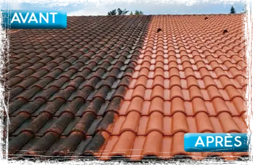 Nettoyage de toiture Coltainville en Eure-et-Loir