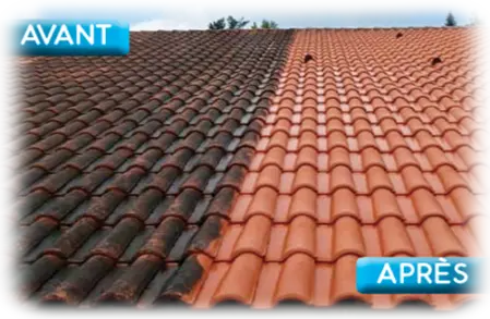 Nettoyage de toiture démoussage à Coltainville 28300 Eure et Loir